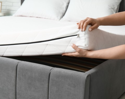 Mało kto wie, że pluskwy nie znoszą zapachu tej przyprawy. Szybko pozbędziesz się problemu