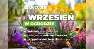 Wrzesień w ogrodzie