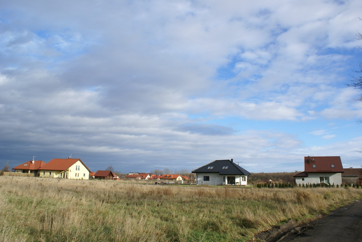 Ogród, widok z ogrodu