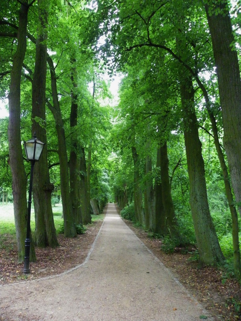 Pozostałe, Arboretum w Gołuchowie - Park i zabudowania cz 1 - Gołuchów 