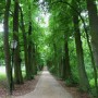 Pozostałe, Arboretum w Gołuchowie - Park i zabudowania cz 1 - Gołuchów 