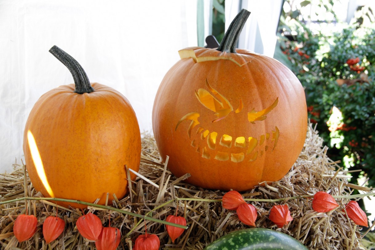 Dekoracje, Dekoracje na Halloween - Najstrrrrrraszniejszy dzień w roku coraz bliżej! Oto pomysły na dekorację domu na Halloween :)