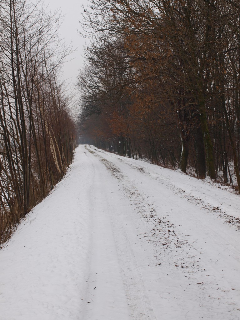 Pozostałe, Zima