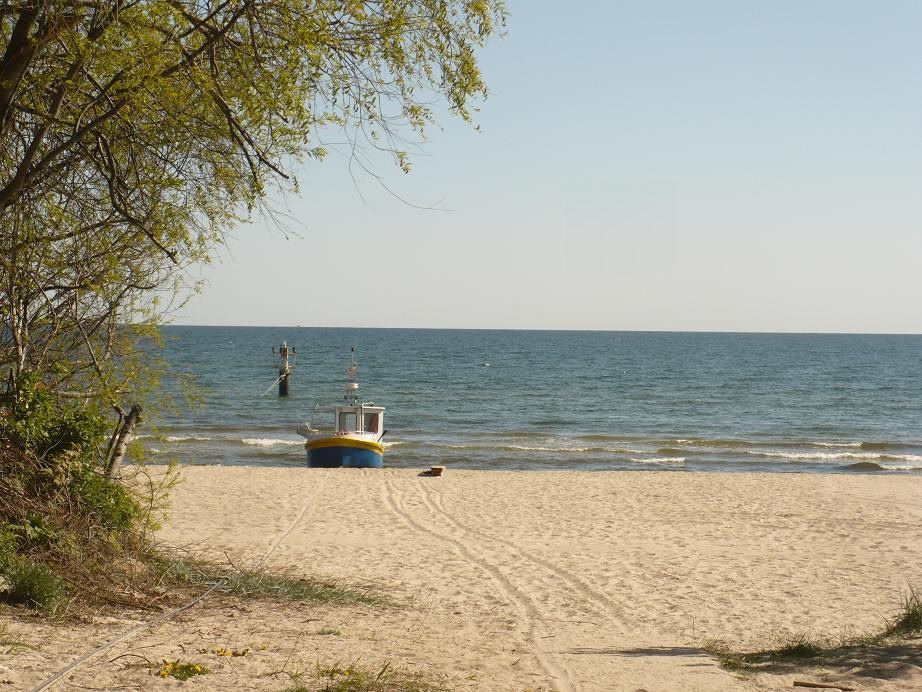 Rośliny, Majowe radości................... - ..................i morze...............