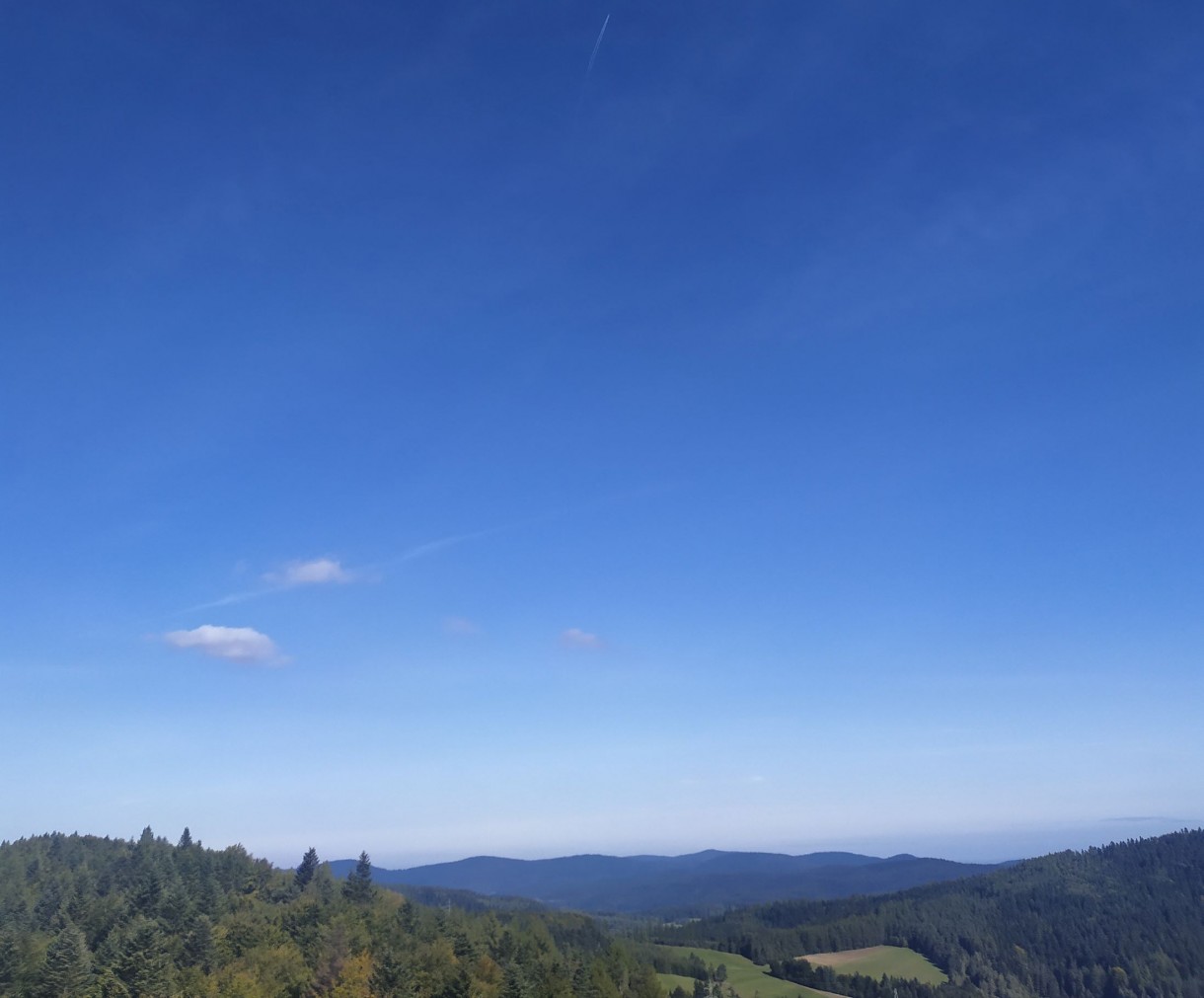 Leśne klimaty, Krynica Zdrój-Wieża Widokowa