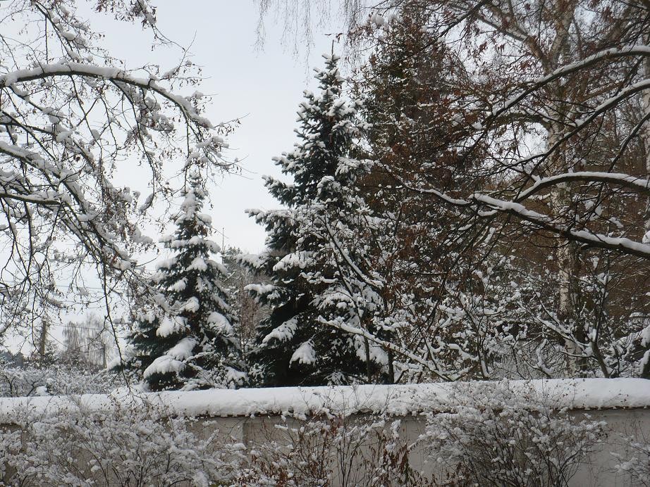 Pozostałe, Styczniowe pastelowe robótki.....i ........zima............. - ............i śniegowe choinki........