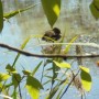 Pozostałe, NATURA w PEŁNEJ  KRASIE - Park Mickiewicza