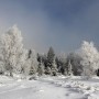 Pozostałe, zimowe klimaty - .