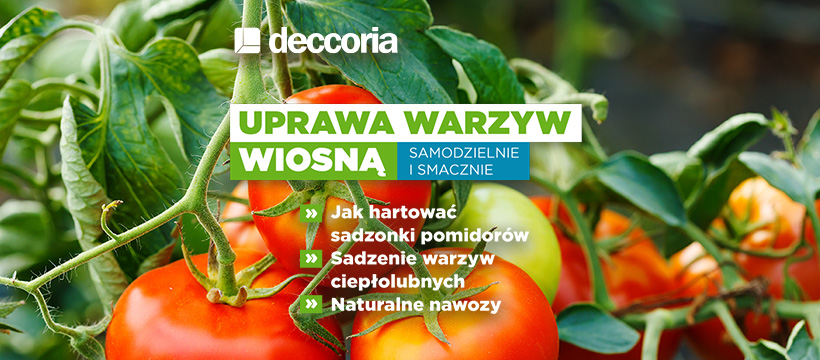 Uprawa warzyw wiosną: Samodzielnie i smacznie