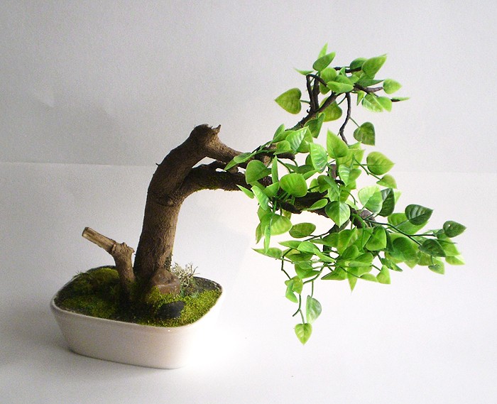 Dekoracje, Sztuczne drzewka bonsai (bonsai zokei) - Sztuczne drzewko bonsai - Bonsai Zokei
http://dragon.netgaleria.pl/sztuczne-bonsai,39.html