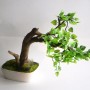 Dekoracje, Sztuczne drzewka bonsai (bonsai zokei) - Sztuczne drzewko bonsai - Bonsai Zokei
http://dragon.netgaleria.pl/sztuczne-bonsai,39.html