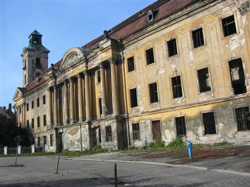 Pozostałe, Ruiny pałacowo-zamkowe w Żarach