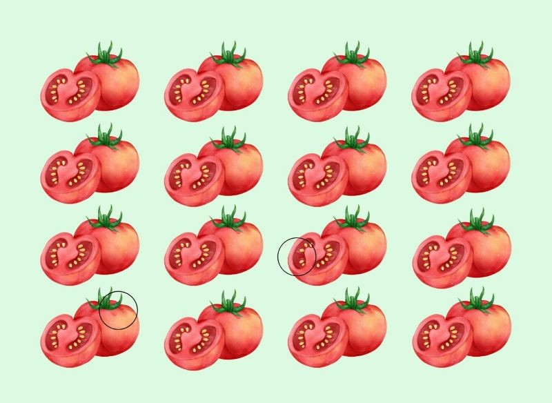 Rozwiązanie pomidorowej zagadki optycznej.