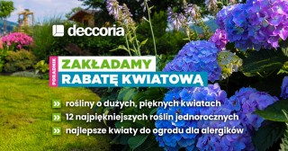 Zakładamy rabatę kwiatową