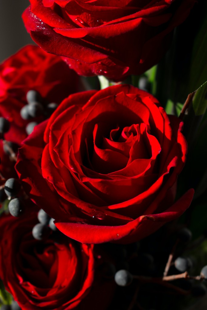 Dekoracje, Zaczarowana róża - róża