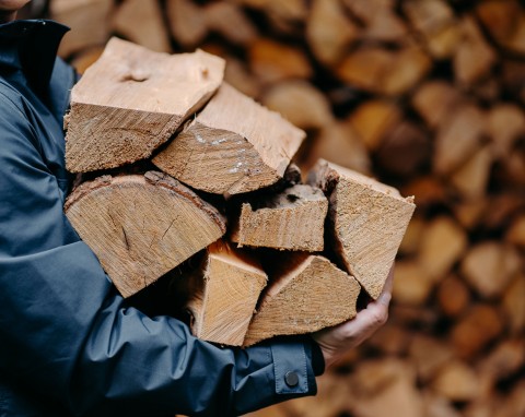 Ceny drewna opałowego w grudniu 2022. Ile trzeba zapłacić za metr sześcienny, skąd tak wysokie ceny?
