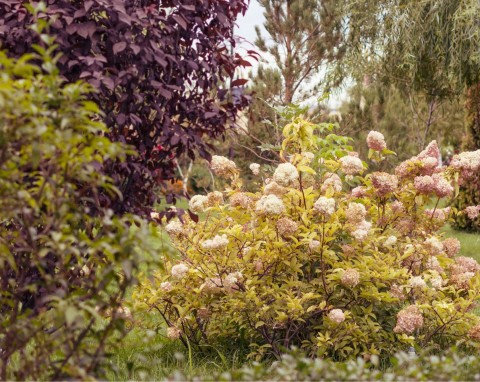 Niewiele osób zna ten naturalny nawóz. Nie tylko wzmacnia glebę, jest super izolacją przed zimnem i słońcem