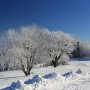 Pozostałe, zimowe klimaty - .