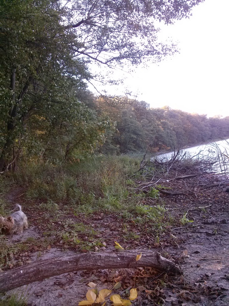 Pozostałe, Szukałam jesieni...