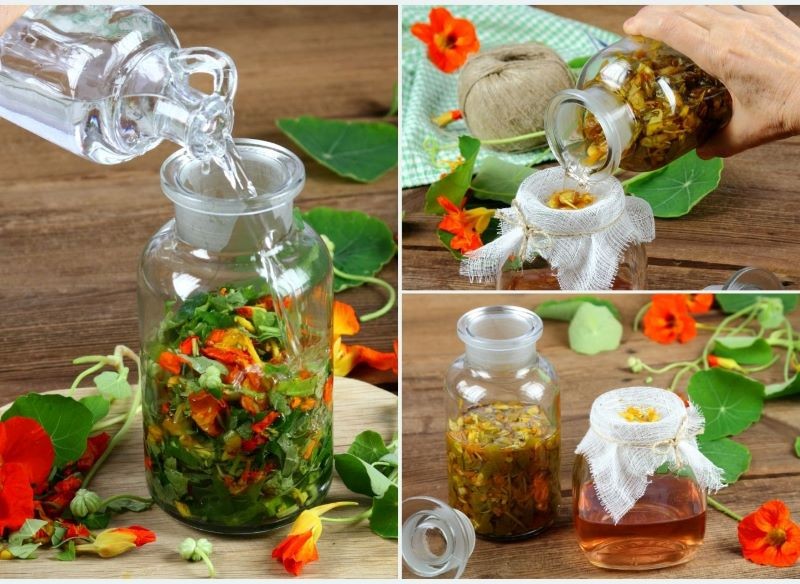 Ocet z nasturcji wykonasz w kilku prostych krokach.