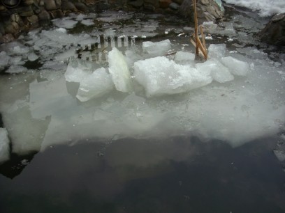 Ogród, Ubiegła zima 2009/2010 - Miejscami było około 20 cm grubego lodu - ciężko było dostać się 