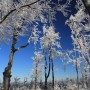 Pozostałe, zimowe klimaty - .