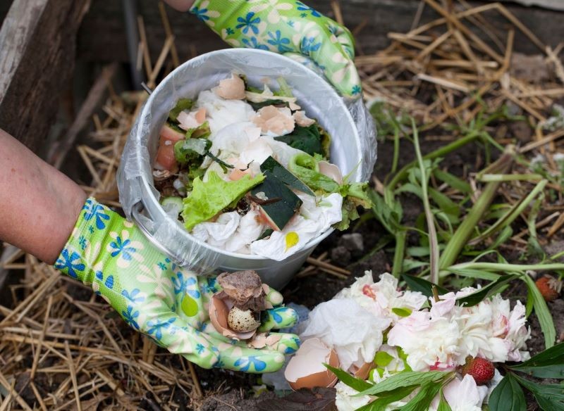 Na kompostownik możemy wrzucić skorupki jaj.