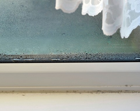 Wrzuć do miseczki i postaw na parapecie. Okna przestaną parować, na ścianach nie będzie wilgoci