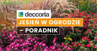 Jesień w ogrodzie