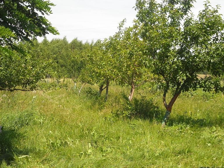 Pozostałe, Taki sobie letni domek na wsi .....