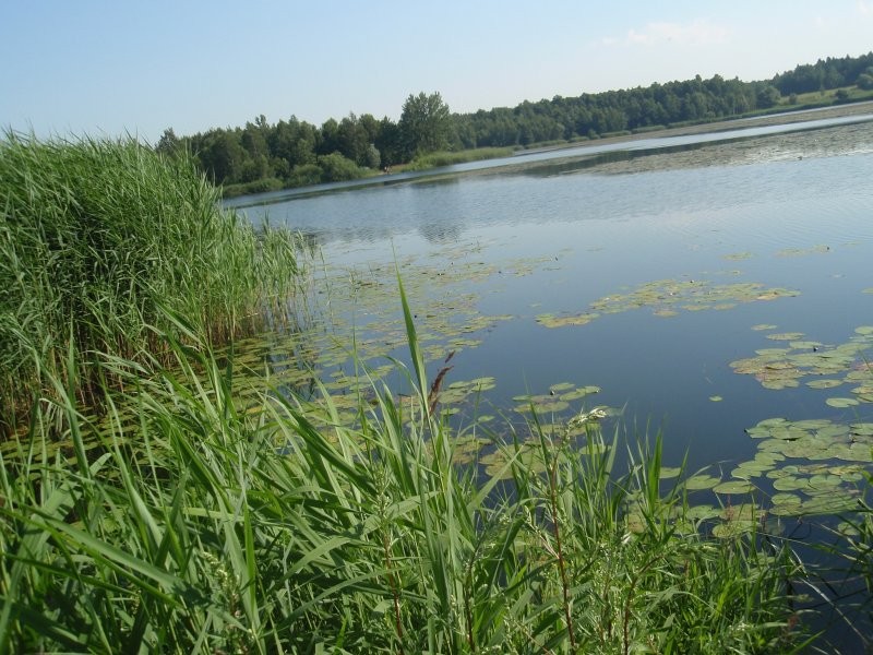 Pozostałe, W parku i nad wodą.