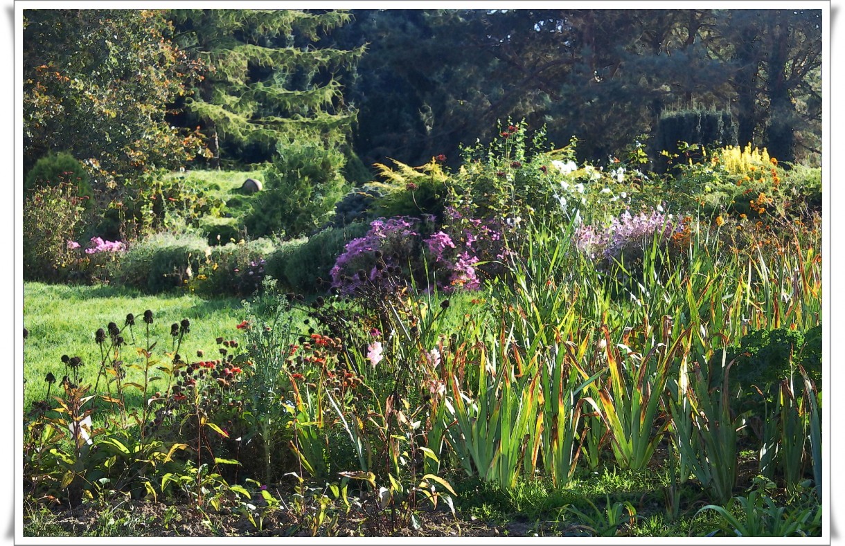 Ogród, Arboretum II