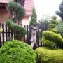 Ogród, TOPIARY