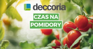 Czas na pomidory
