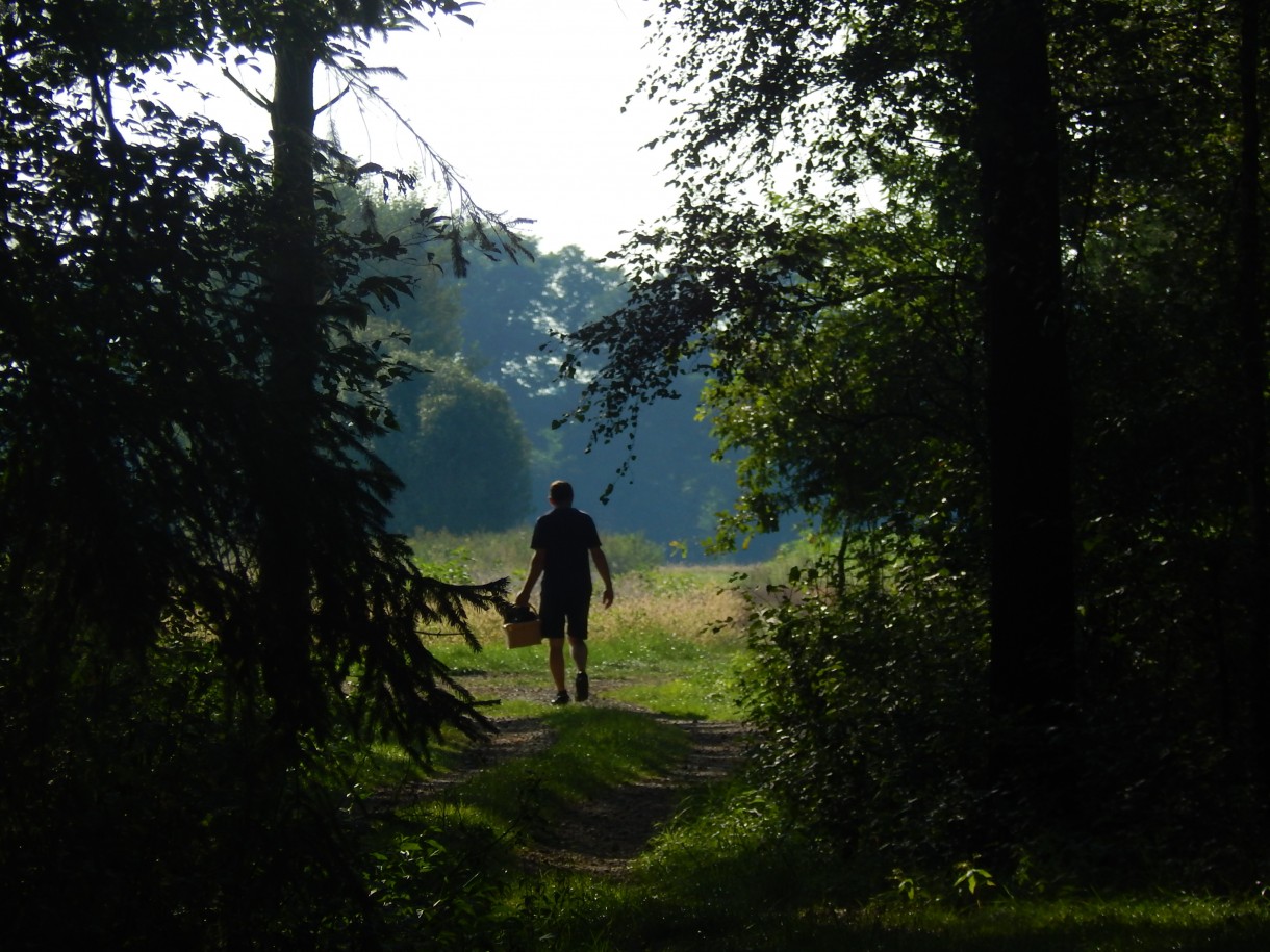 Leśne klimaty, KAWA W LESIE  :)