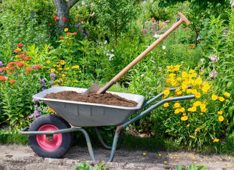 Kompost możemy stosować do każdego rodzaju upraw.