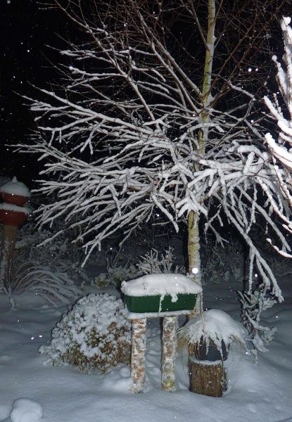 Ogród, Wieczorowa porą