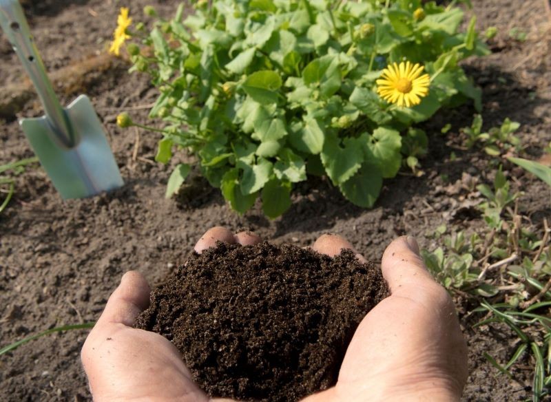 Kompostem nie możemy przenawozić roślin.