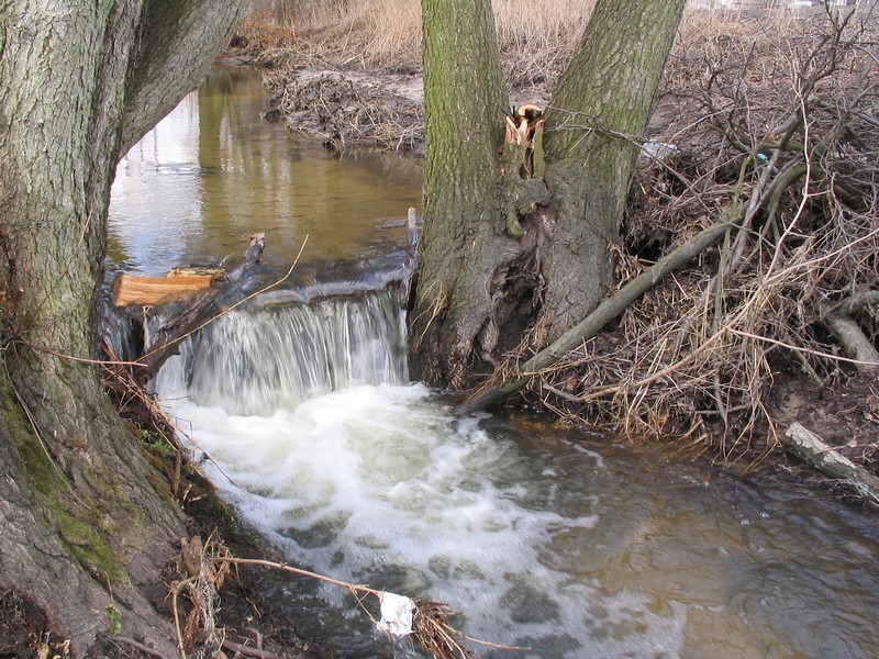 Pozostałe, Wiosna - Wiosna
https://atujest.blogspot.com/