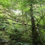 Pozostałe, PIENIŃSKI PARK NARODOWY - SZCZAWNICA - DEPTAK NAD DUNAJCEM