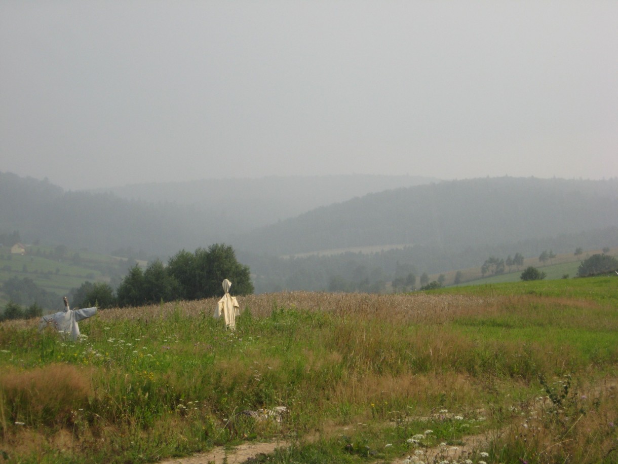 Pozostałe, Z cyklu cudze chwalicie... Bieszczady w moim obiektywie... - Miejscowi...:-)