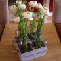 Pozostałe, Dekoracje,kompozycje w salonie - kwiaty ranunculusa (jaskier) w skrzynce z butelkami :)