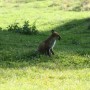 Pozostałe, Niebiańskie Taterkowanie - Wziął i zapozował nawet 