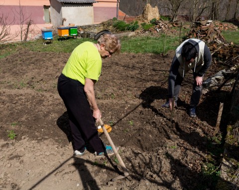 Przygotowanie gleby pod uprawę warzyw. Jaka ziemia pod warzywa jest najlepsza?