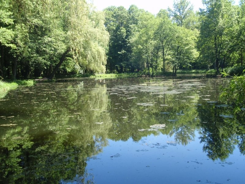 Pozostałe, Na wycieczce rowerowej....