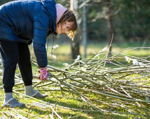 Co zrobić w grudniu w ogrodzie? Zabezpieczanie roślin i planowanie nasadzeń na przyszły sezon