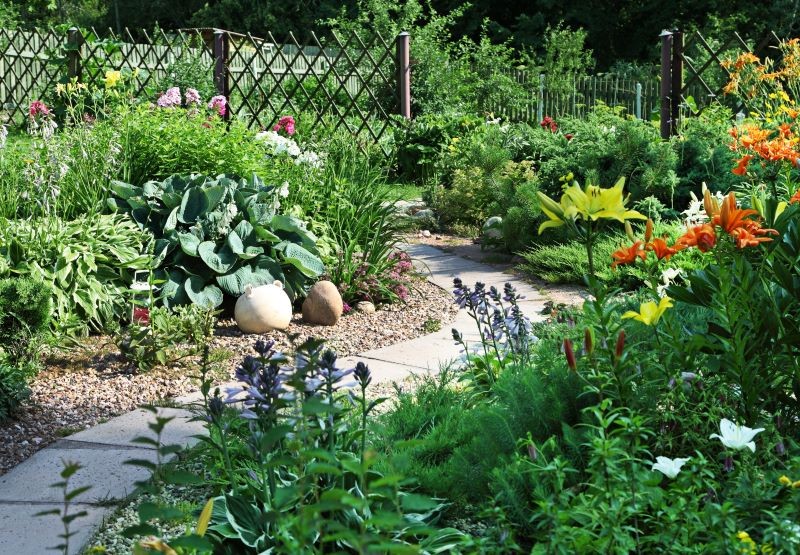 Tylko niektóre rośliny w ogrodzie potrzebują nawożenia latem.