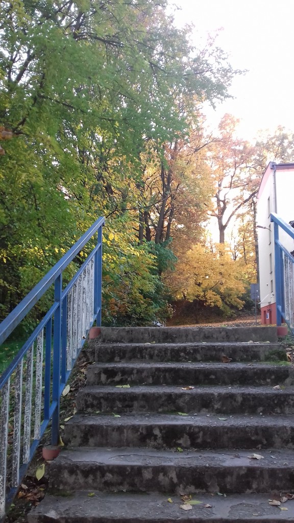 Leśne klimaty, Park jesienią