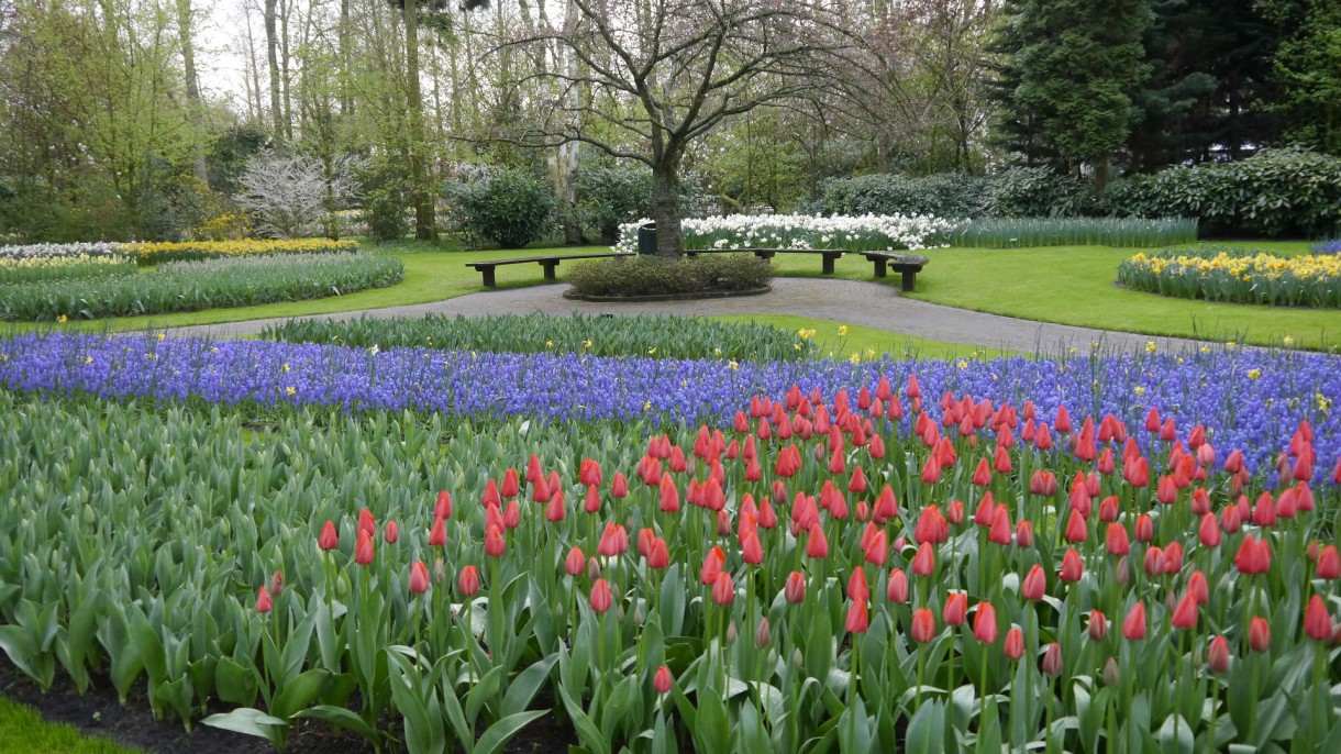 Pozostałe, Keukenhof