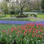 Pozostałe, Keukenhof